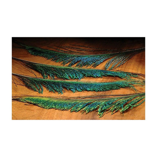 Hareline Peacock Swords - Feathers & Marabou - Fly Fish Food