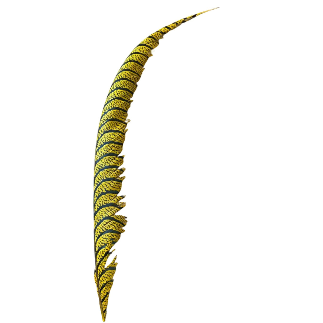 Lady Amherst Center Tail Feather - Feathers &amp; Marabou - Fly Fish Food