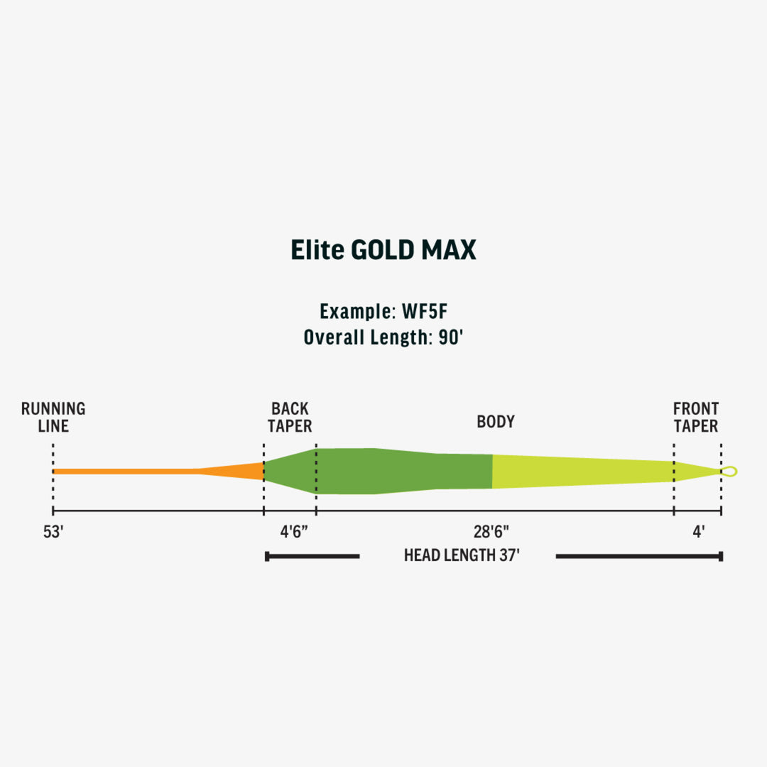 Rio Elite Gold Max - Mint/Green/Blaze Orange - Fly Lines - Fly Fish Food