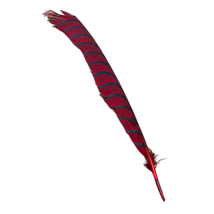 Lady Amherst Center Tail - Halfs - Feathers &amp; Marabou - Fly Fish Food