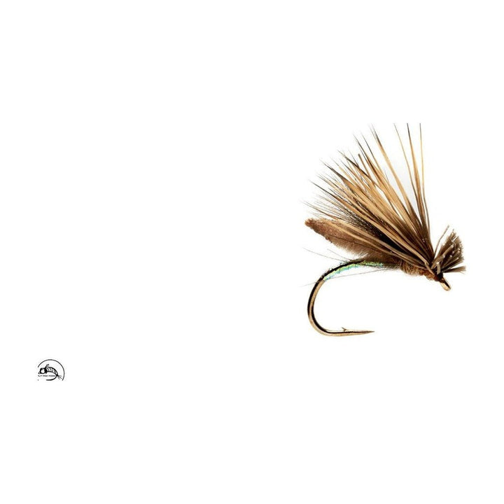 Palomino Caddis - Tan - Flies - Fly Fish Food