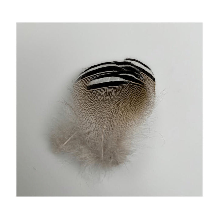 Select Barred Wood Duck - 6 Pairs - Feathers &amp; Marabou - Fly Fish Food