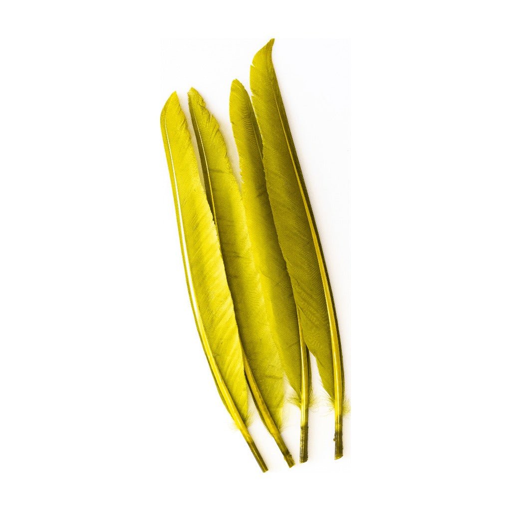 Wapsi - Duck Quill - 2 Pair - Feathers &amp; Marabou - Fly Fish Food