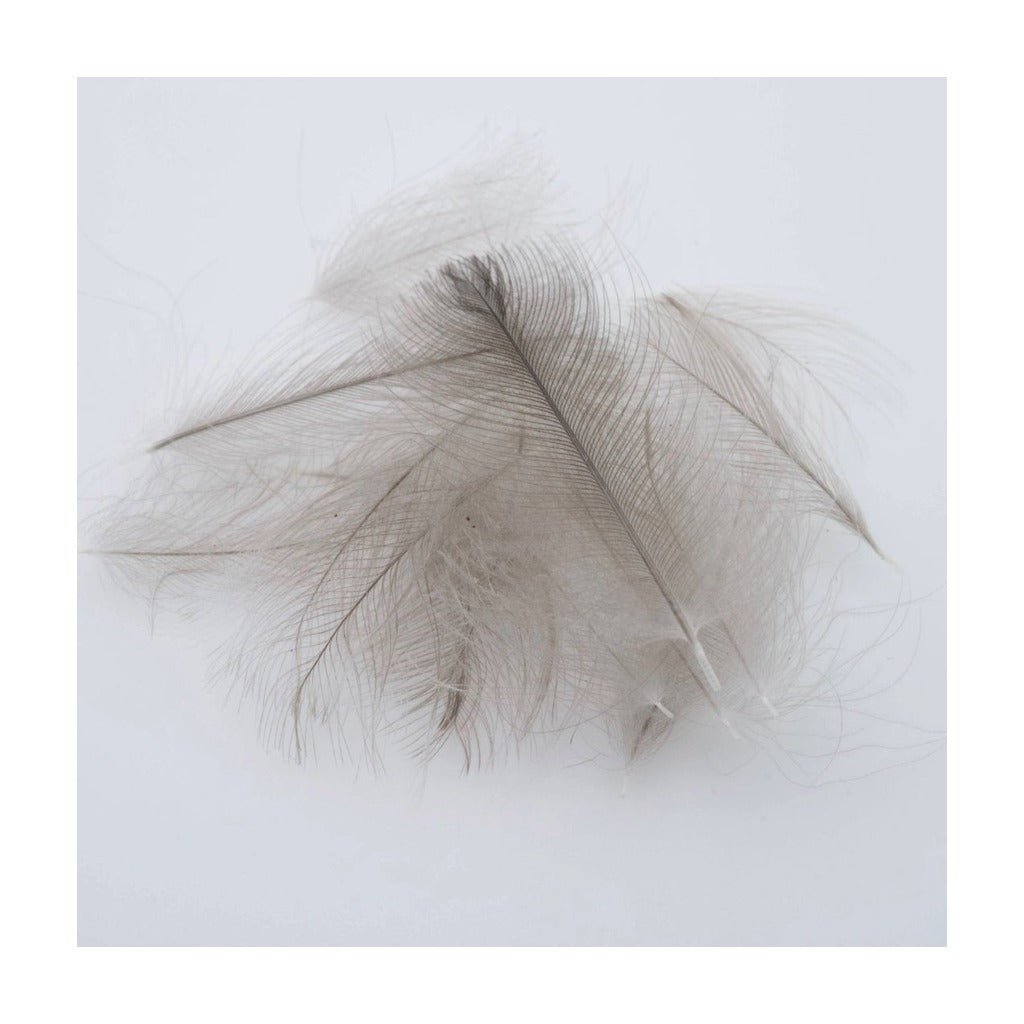 Canada Goose CDC - Natural Blue Dun CDC - Feathers & Marabou - Fly Fish Food