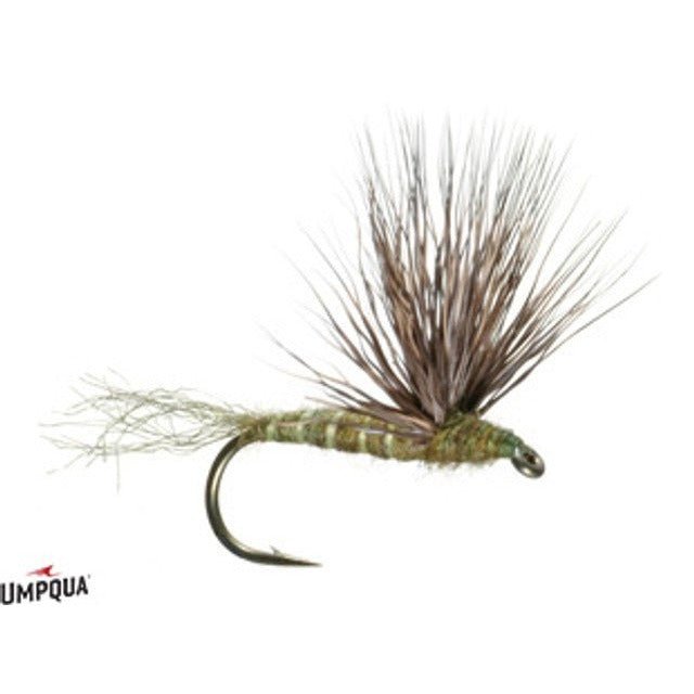 Sparkle Dun Baetis - Gray Olive - Flies - Fly Fish Food