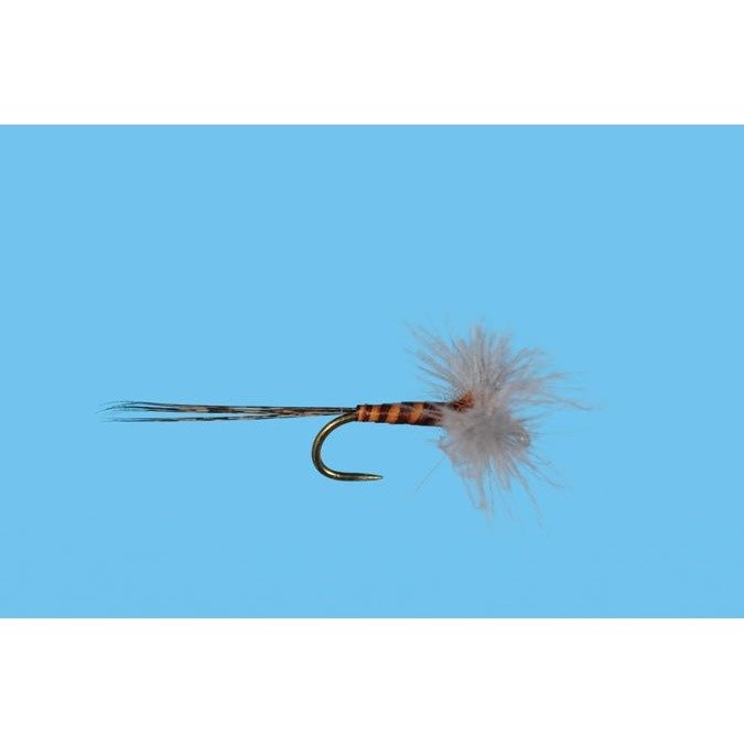 CDC Biot Rusty Spinner - Flies - Fly Fish Food