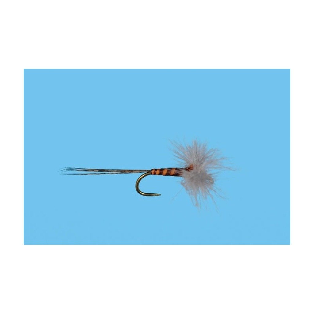 CDC Biot Rusty Spinner - Flies - Fly Fish Food