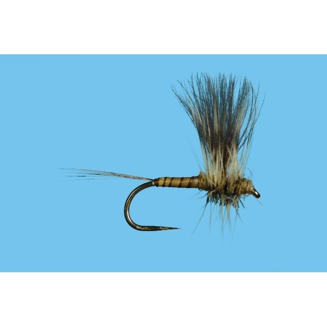 Harrop's CDC Thorax - Green Drake - Flies - Fly Fish Food
