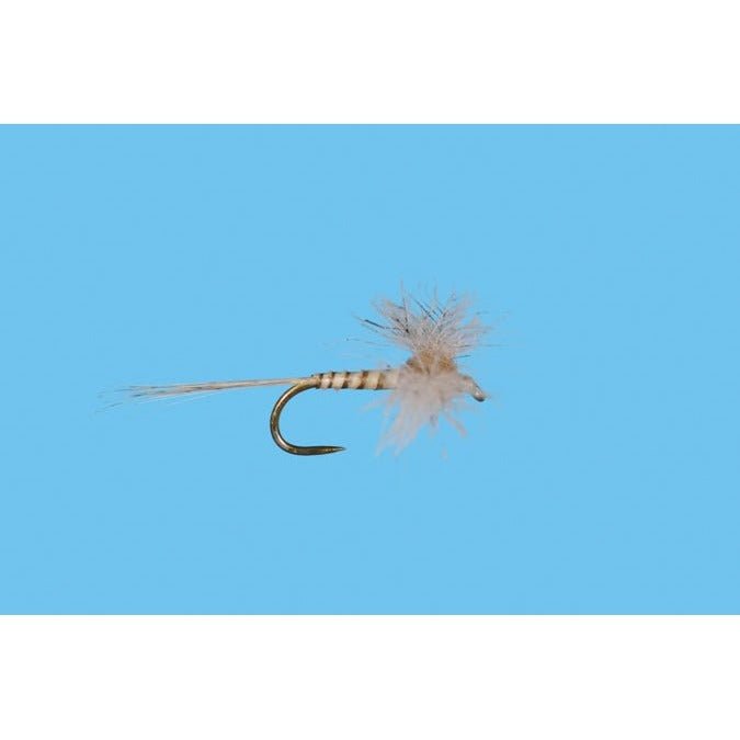 CDC Biot Callibaetis Spinner - Flies - Fly Fish Food