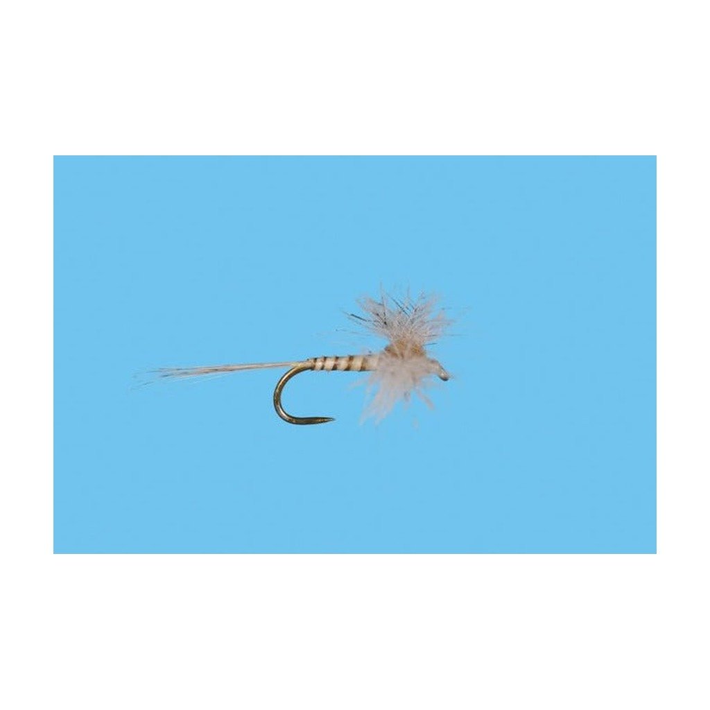 CDC Biot Callibaetis Spinner - Flies - Fly Fish Food