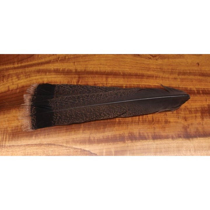 Cinnamon Tip Turkey Tail Feathers - Feathers &amp; Marabou - Fly Fish Food