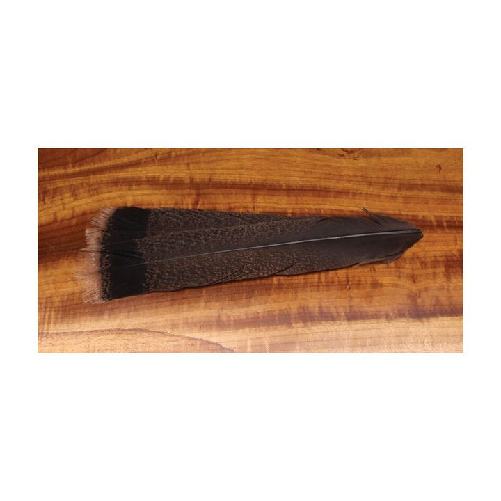 Cinnamon Tip Turkey Tail Feathers - Feathers &amp; Marabou - Fly Fish Food
