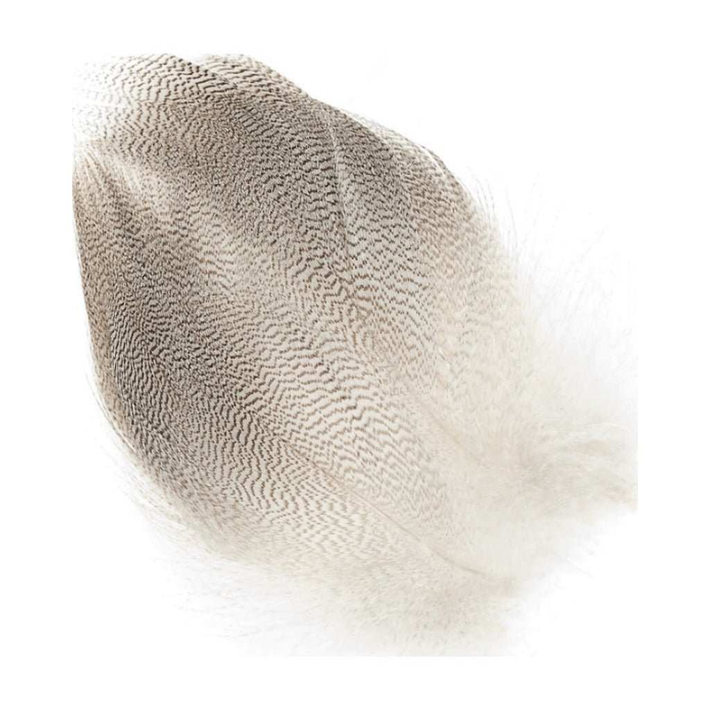 Mallard Barred Flank - Feathers & Marabou - Fly Fish Food
