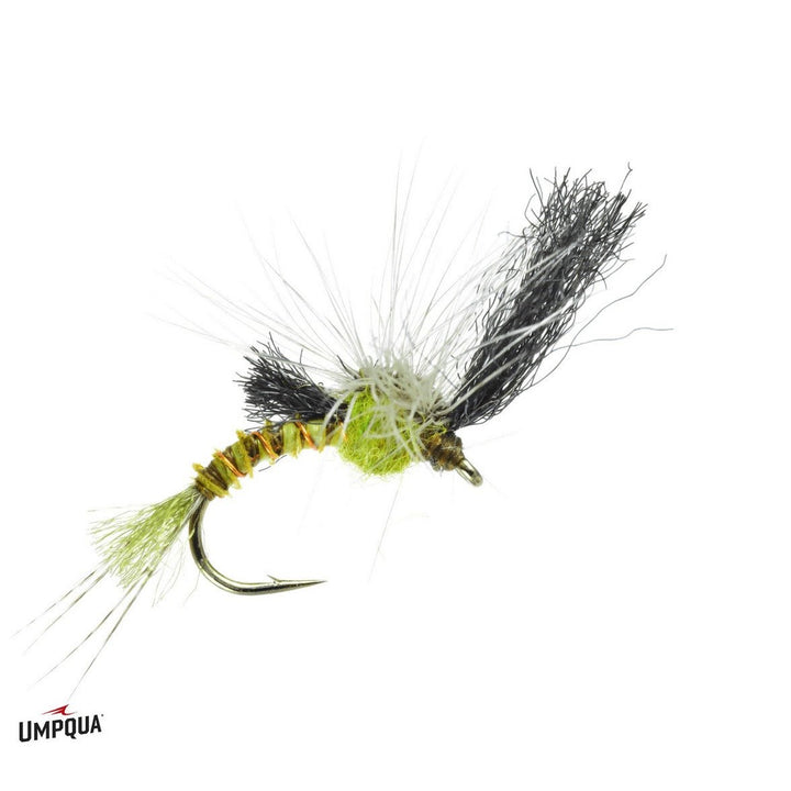 Film Critic Quigley - Green Drake - Flies - Fly Fish Food