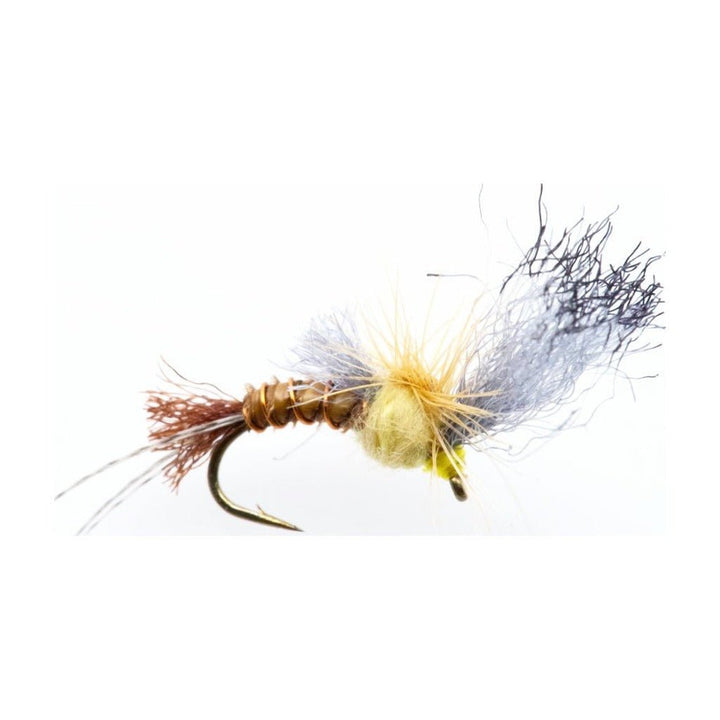Film Critic Quigley - PMD - Flies - Fly Fish Food