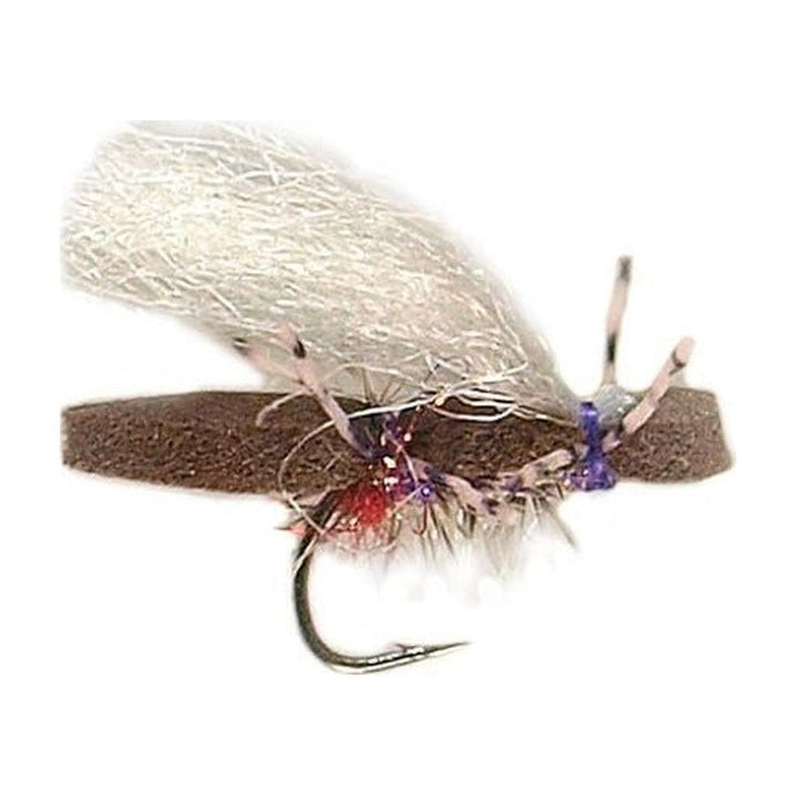 Micro Purple Bruce - Flies - Fly Fish Food