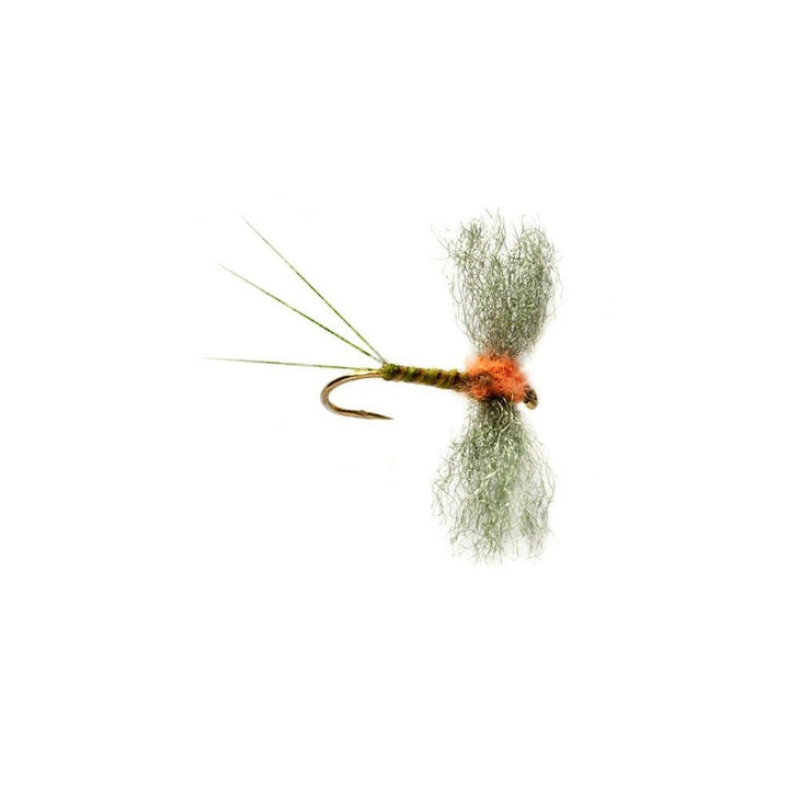 Burkus Western Green Drake Spinner - Flies - Fly Fish Food