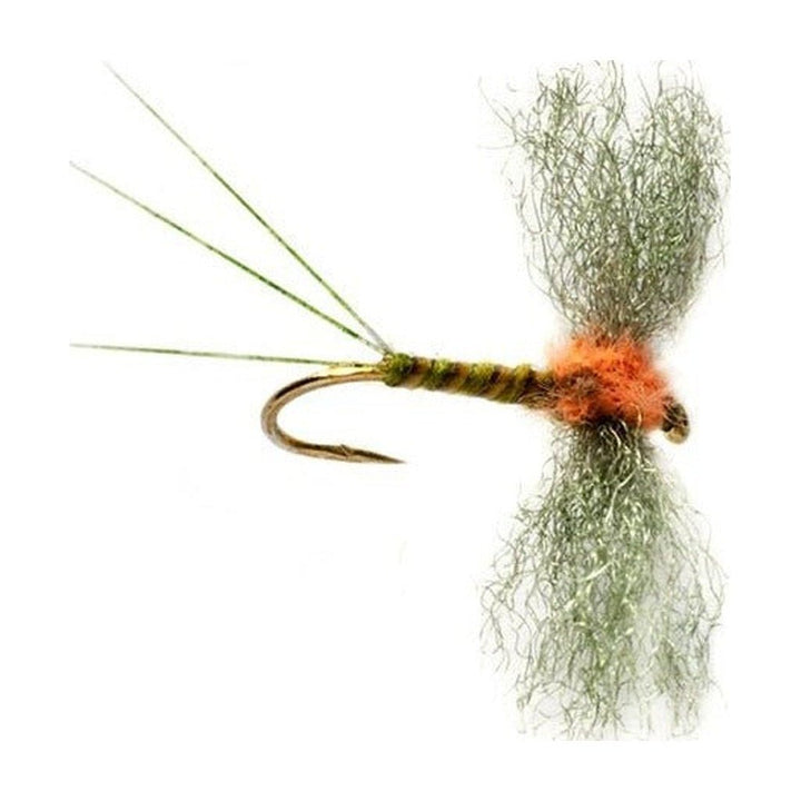 Burkus Western Green Drake Spinner - Flies - Fly Fish Food