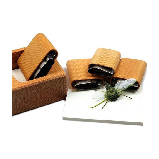Annual Cicada Cutter Set - Foam & Bodies - Fly Fish Food