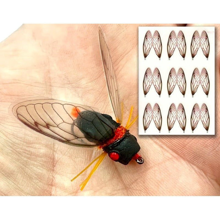Cicada Wings - Orange - Misc. Synthetics - Fly Fish Food