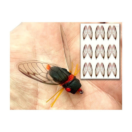 Cicada Wings - Orange - Misc. Synthetics - Fly Fish Food