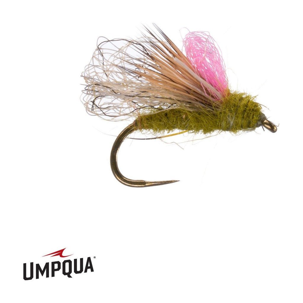 Hellion Caddis - Olive - Flies - Fly Fish Food