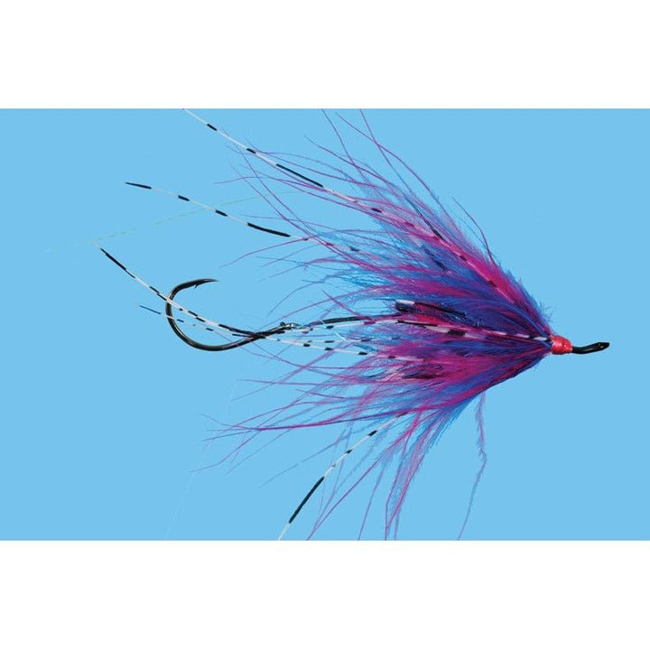 Hoh Bo Spey - Cherise/Blue - Flies - Fly Fish Food