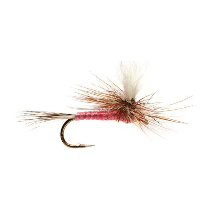 Pink Parachute Adams - Flies - Fly Fish Food