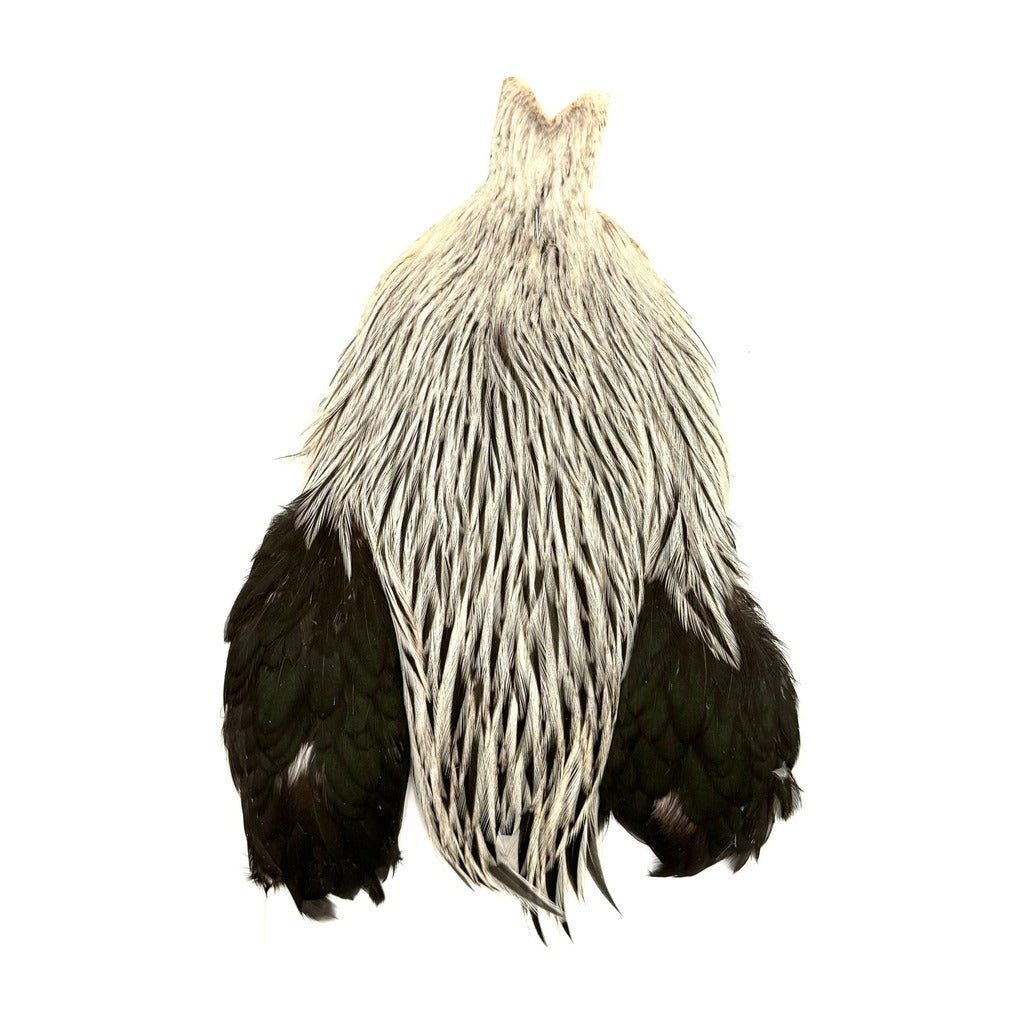Whiting Brahma Rooster Cape - Feathers & Marabou - Fly Fish Food