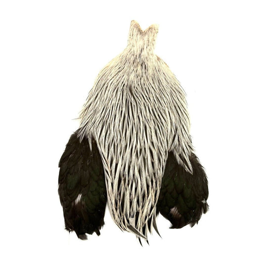 Whiting Brahma Rooster Cape - Feathers & Marabou - Fly Fish Food