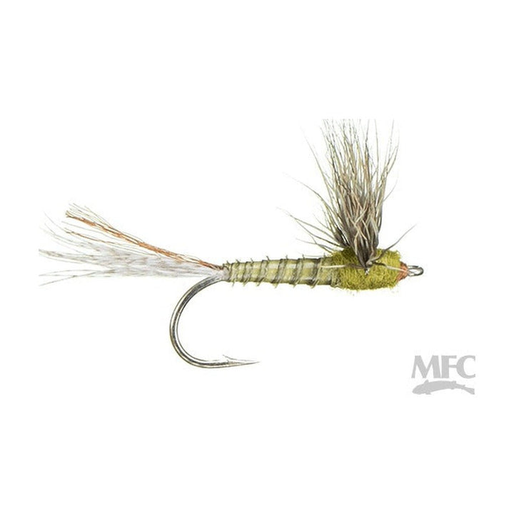 Biot Sparkle Dun - Green Drake - Flies - Fly Fish Food