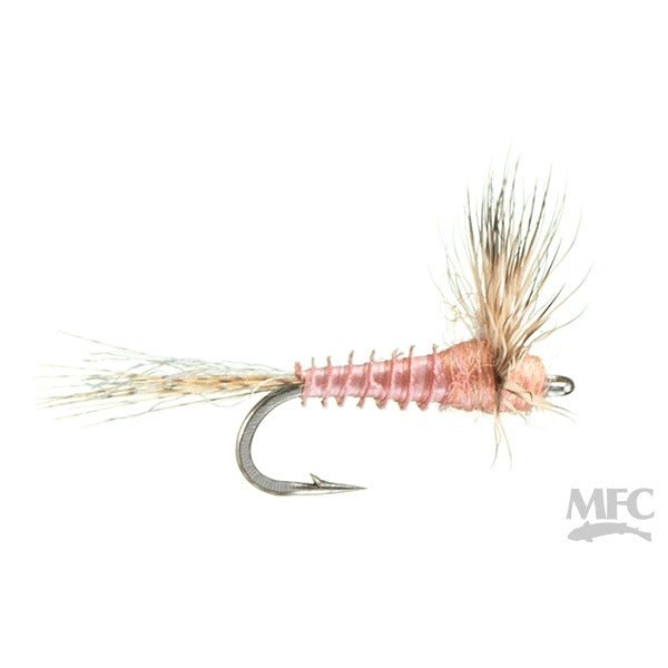 Biot Sparkle Dun - Pink Albert - Flies - Fly Fish Food