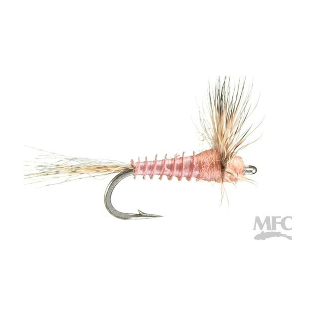 Biot Sparkle Dun - Pink Albert - Flies - Fly Fish Food
