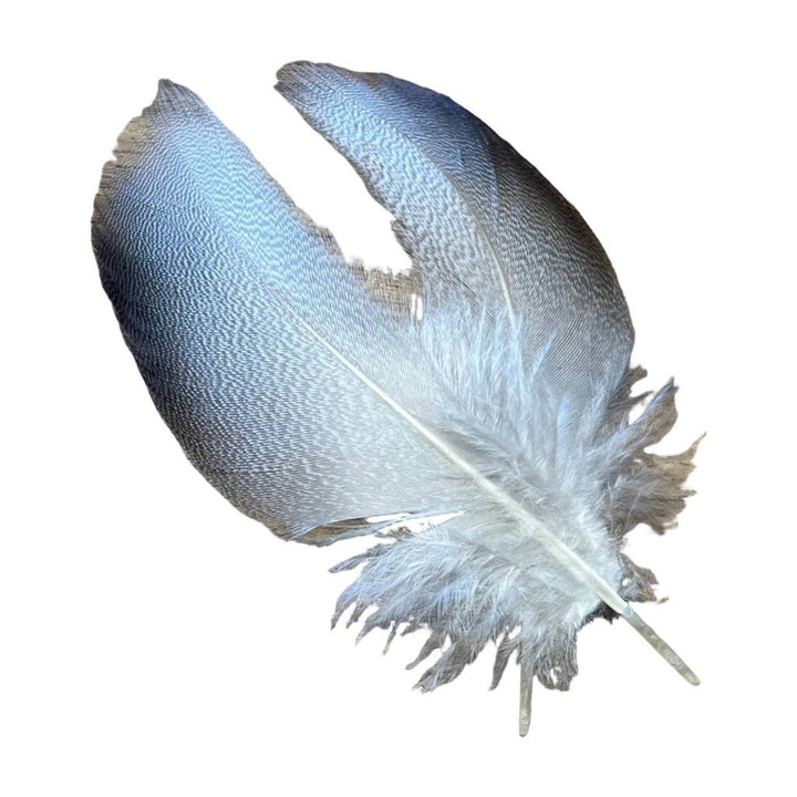 Select Bronze Mallard 3 Pairs - Feathers &amp; Marabou - Fly Fish Food