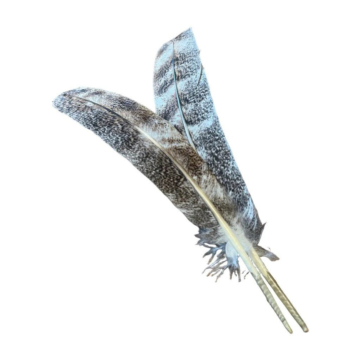 Mottled Ozark Secondary Pair - Feathers &amp; Marabou - Fly Fish Food