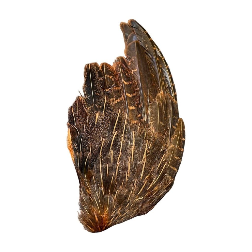 Partridge Wings Dyed - Feathers &amp; Marabou - Fly Fish Food