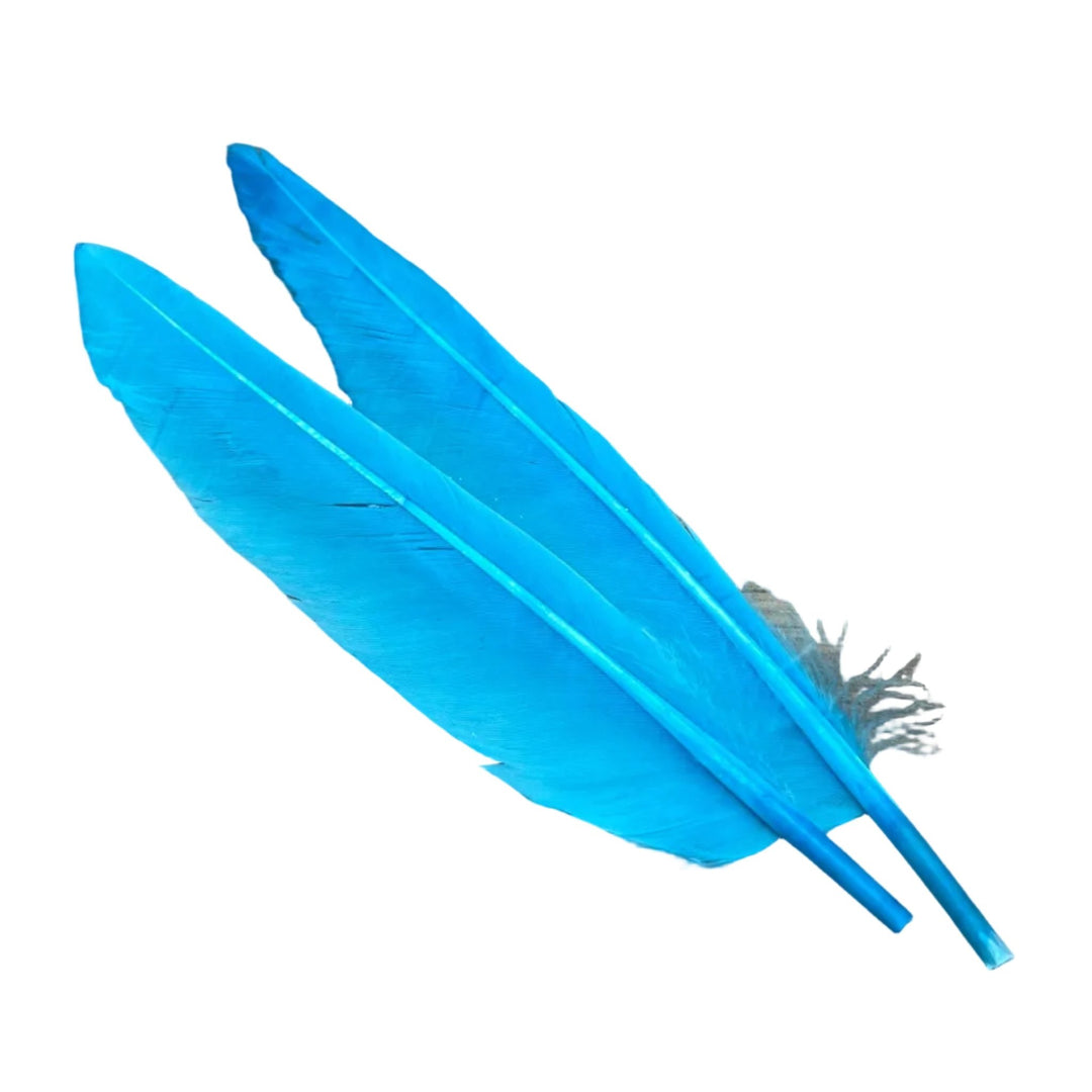 Duck Quills - 2 Pair - Feathers &amp; Marabou - Fly Fish Food
