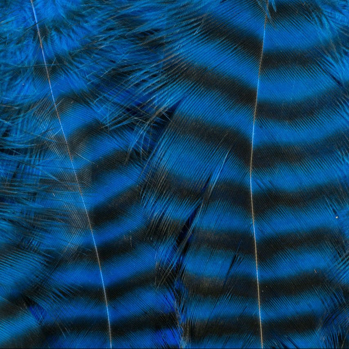 Metz - Hackle Predator Pack - Hackle - Fly Fish Food