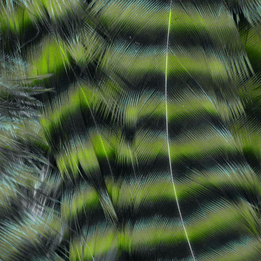 Metz - Hackle Predator Pack - Hackle - Fly Fish Food