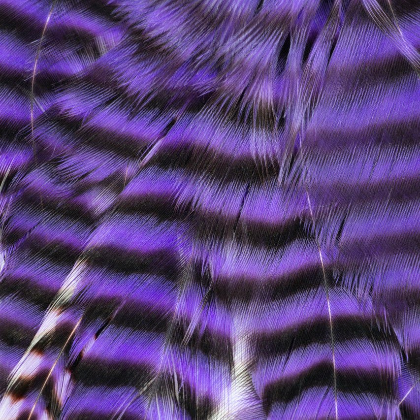 Metz - Hackle Predator Pack - Hackle - Fly Fish Food