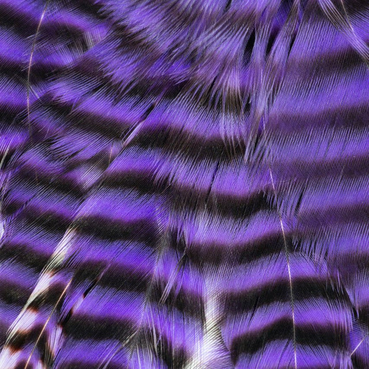 Metz - Hackle Predator Pack - Hackle - Fly Fish Food