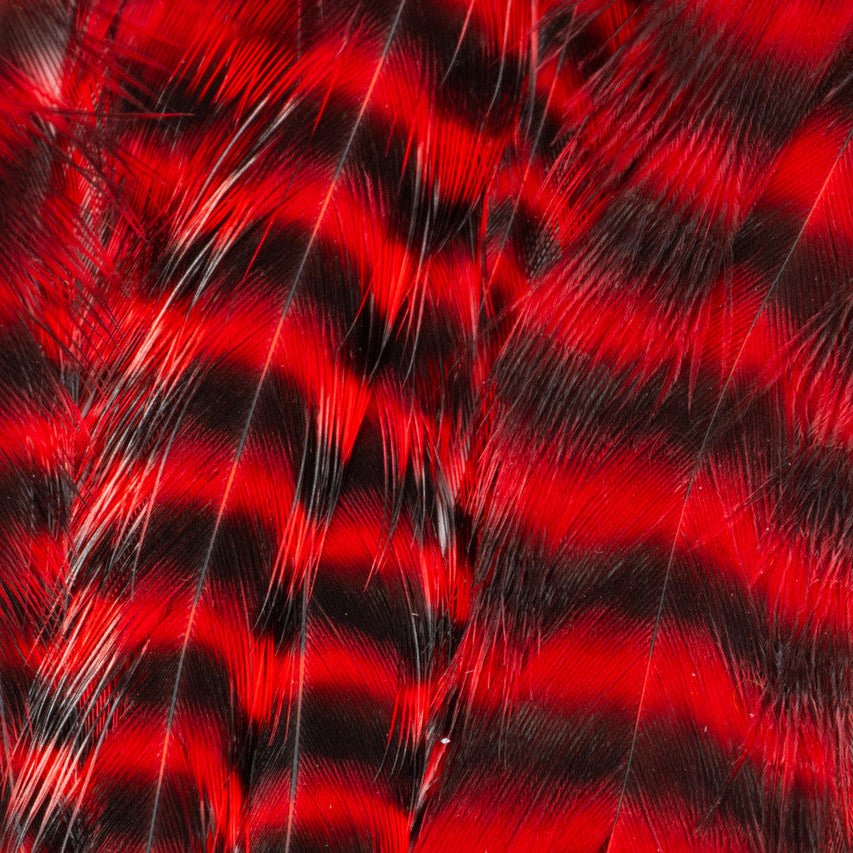 Metz - Hackle Predator Pack - Hackle - Fly Fish Food