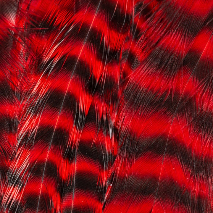 Metz - Hackle Predator Pack - Hackle - Fly Fish Food