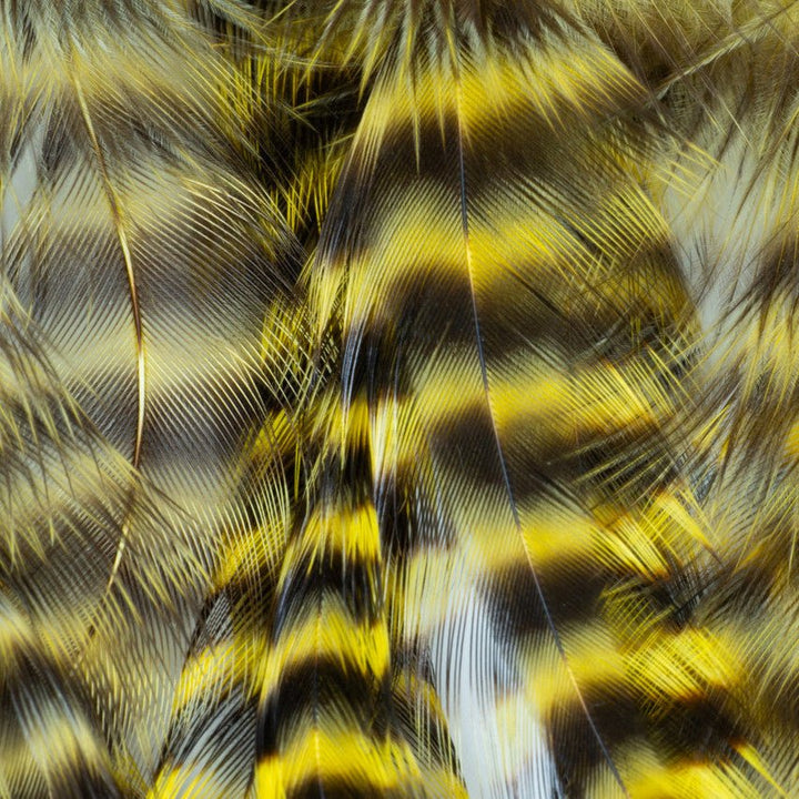Metz - Hackle Predator Pack - Hackle - Fly Fish Food