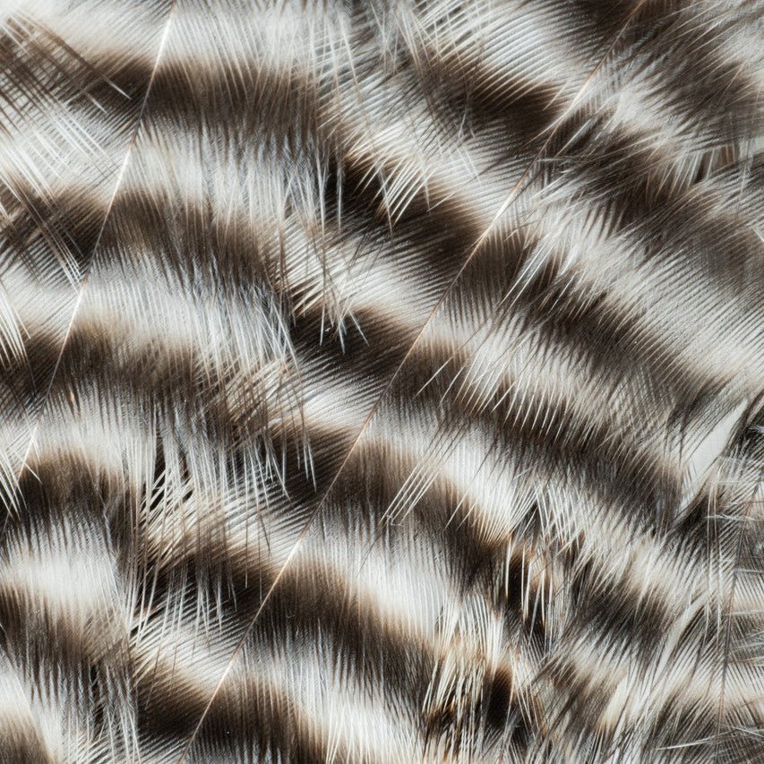 Metz - Hackle Predator Pack - Hackle - Fly Fish Food