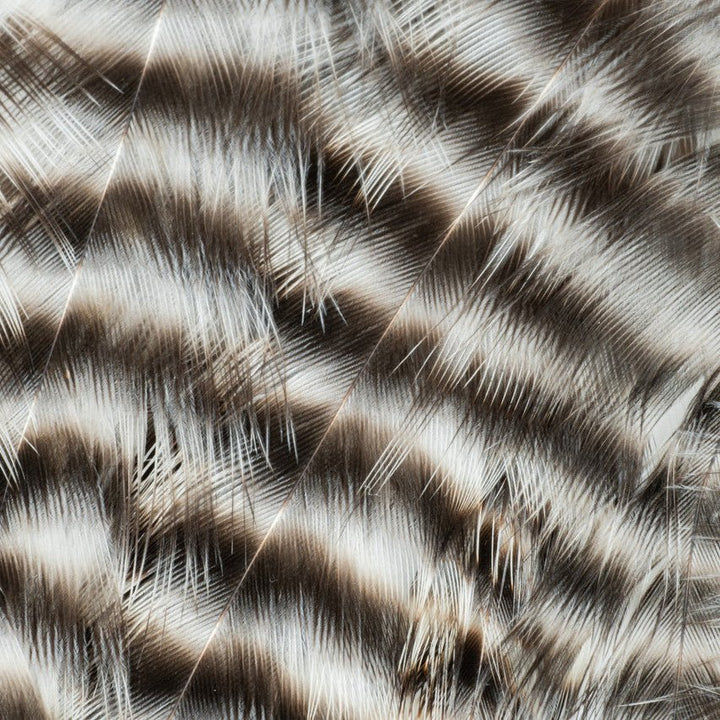Metz - Hackle Predator Pack - Hackle - Fly Fish Food