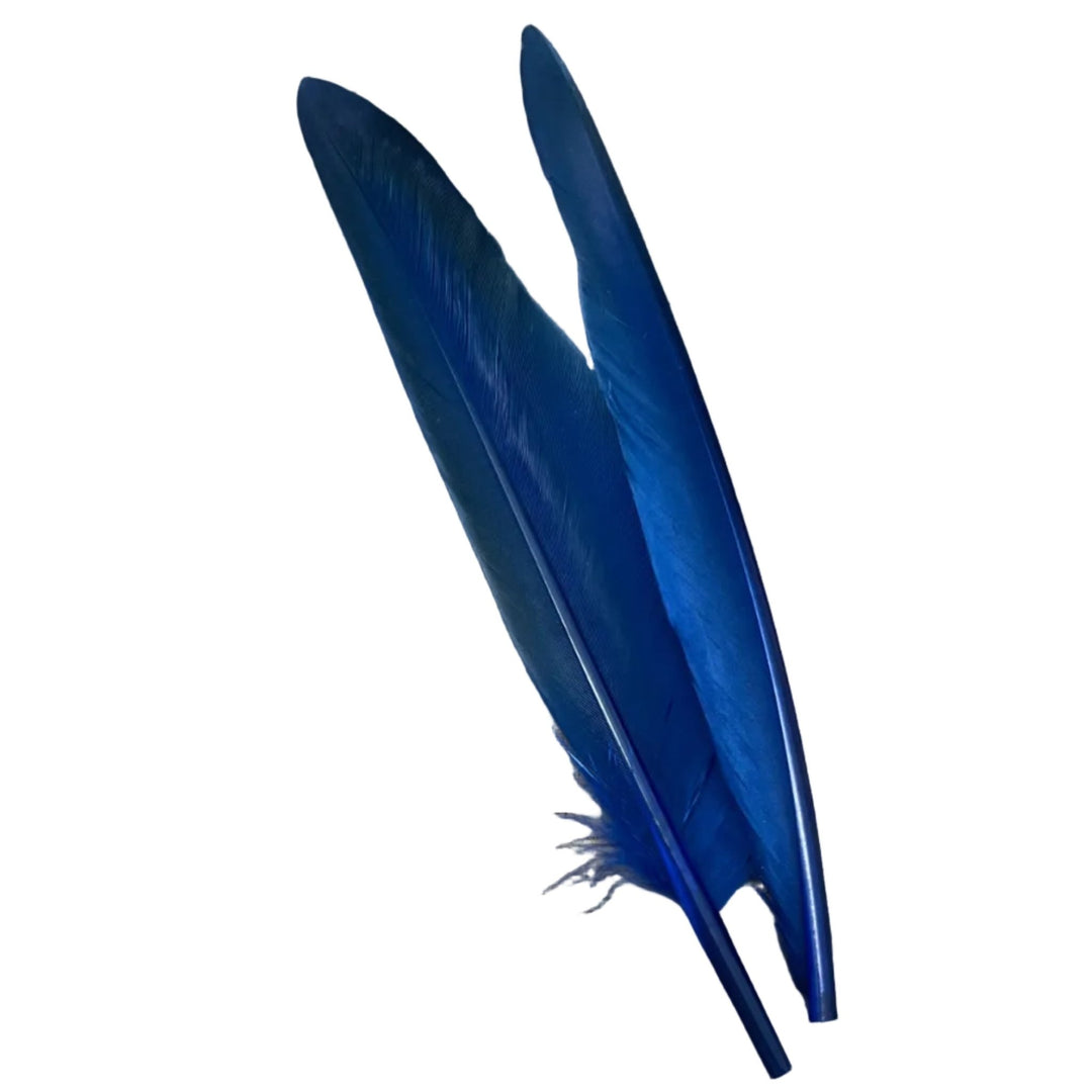 Duck Quills - 2 Pair - Feathers &amp; Marabou - Fly Fish Food