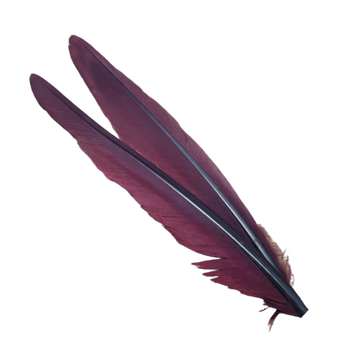 Duck Quills - 2 Pair - Feathers &amp; Marabou - Fly Fish Food