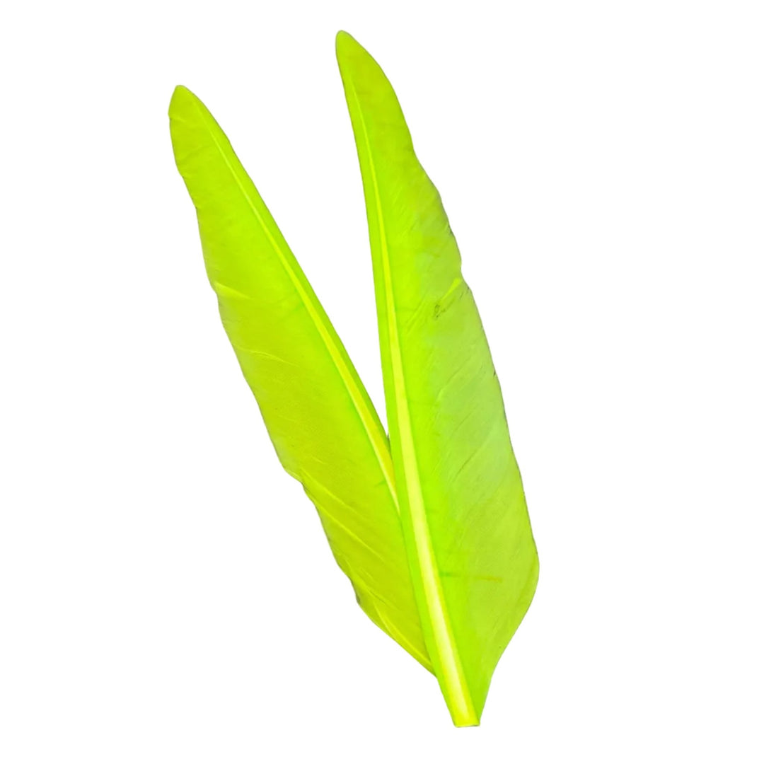 Duck Quills - 2 Pair - Feathers &amp; Marabou - Fly Fish Food