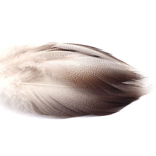 Bronze Mallard - Feathers &amp; Marabou - Fly Fish Food